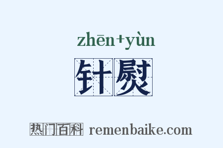 针熨是什么意思的图片